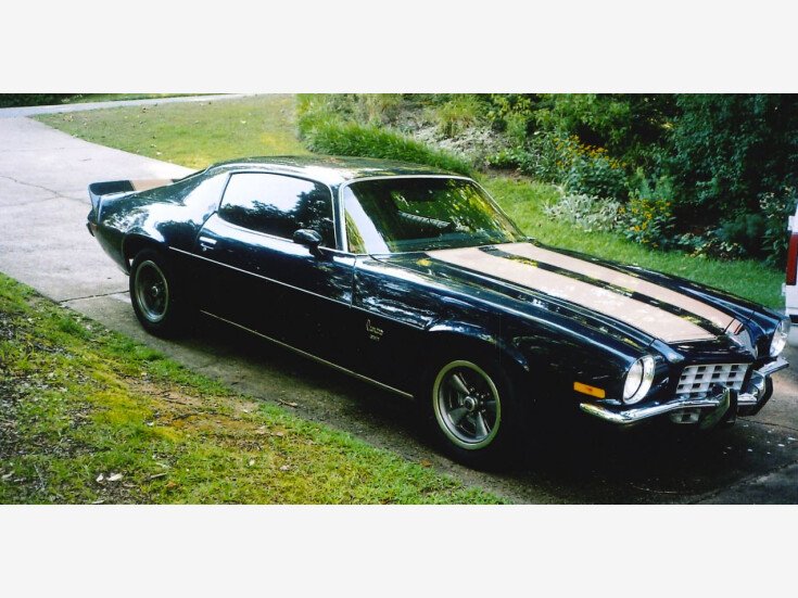 Thumbnail Photo undefined for 1973 Chevrolet Camaro Coupe